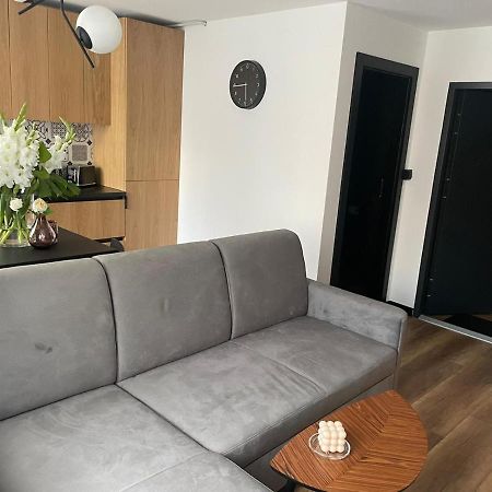 Apartamenty Nadrzeczna 14 Karpacz Esterno foto