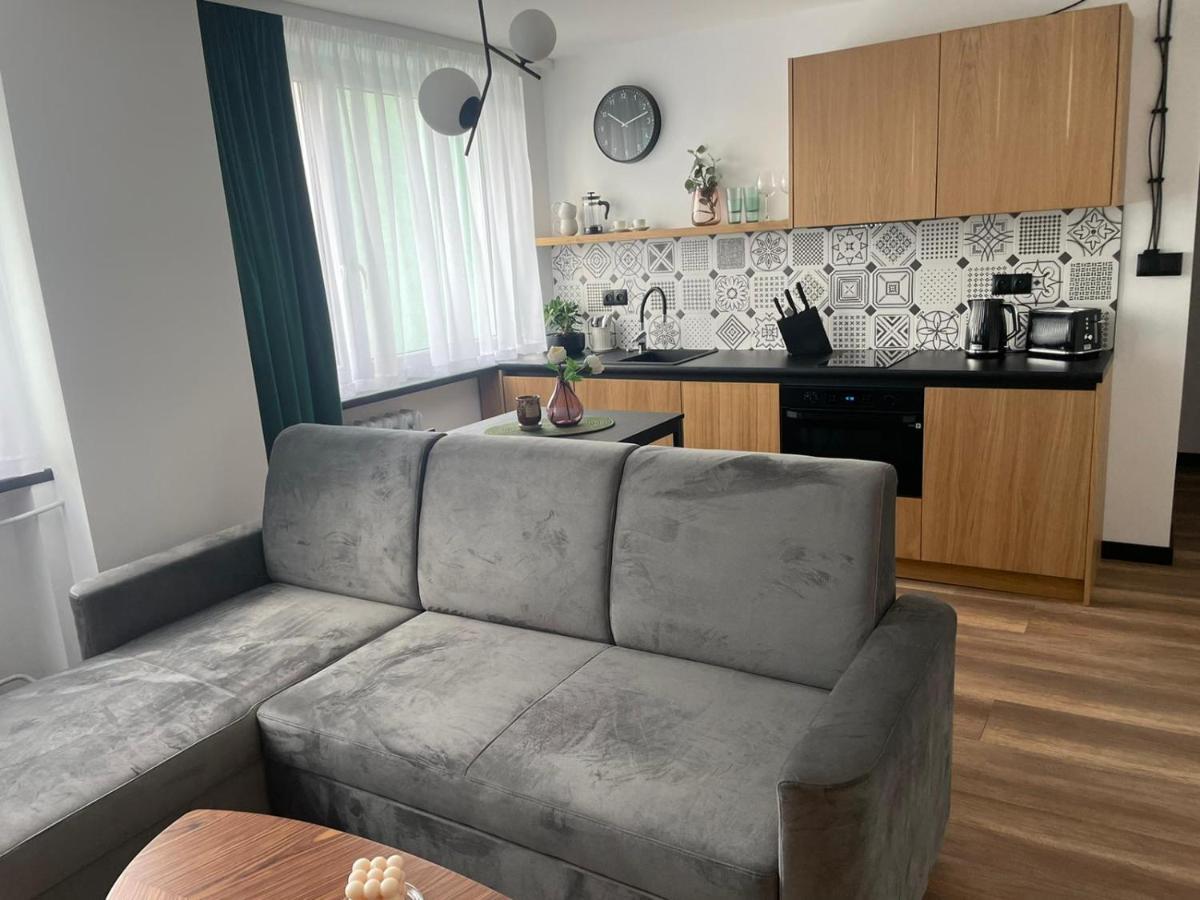 Apartamenty Nadrzeczna 14 Karpacz Esterno foto