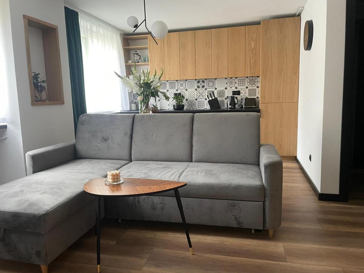 Apartamenty Nadrzeczna 14 Karpacz Esterno foto